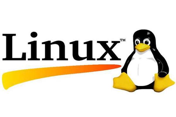 Linux如何快速删除大量的文件